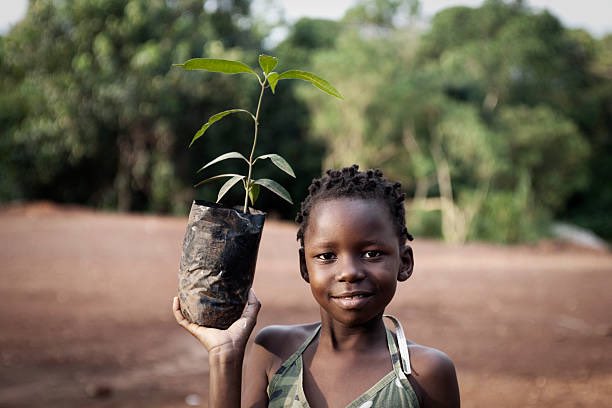 So excited to be appointed as #PlantforthePlanet @trilliontrees program coordinator for #Togo 🇹🇬. 

I’m happy to lead the running of the #environmental education and tree🌳planting academies with #children for the #planet’s sustainability.