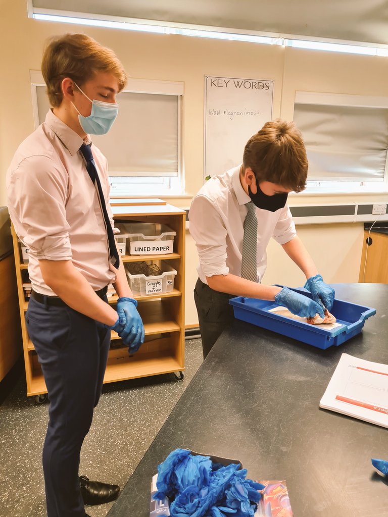 Mrs Ahmed tweet media