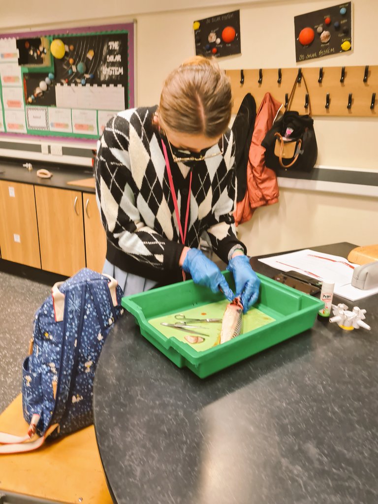 Year 12 doing a fish dissection this morning! <a href="/EppingStJohns/">ESJ</a> <a href="/ESJ_Science/">ESJ Science</a> <a href="/ESJSixthForm/">ESJ Sixth Form</a>