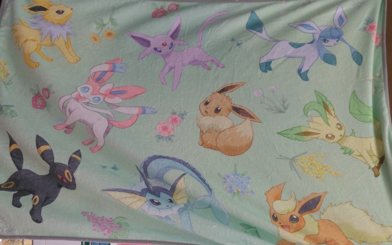 アドアーズ浅草店 景品情報 ポケットモンスター プレミアム巾着付ブランケット 入荷しました イーブイ をはじめとした ブイズたちがプリントされてます 完売必須 お迎えはお早めに ポケモン T Co 0xmx6sfi Twitter