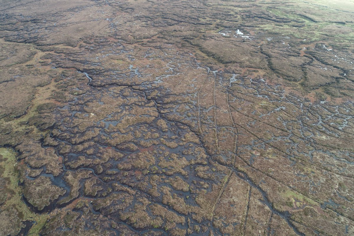 For a Friday treat, here's our excellent colleague, Jenny Sharman, talking peatland restoration in @yorkshire_dales with @YDS35: https://t.co/FzHjSiCHgd https://t.co/nEjQq2WCN8