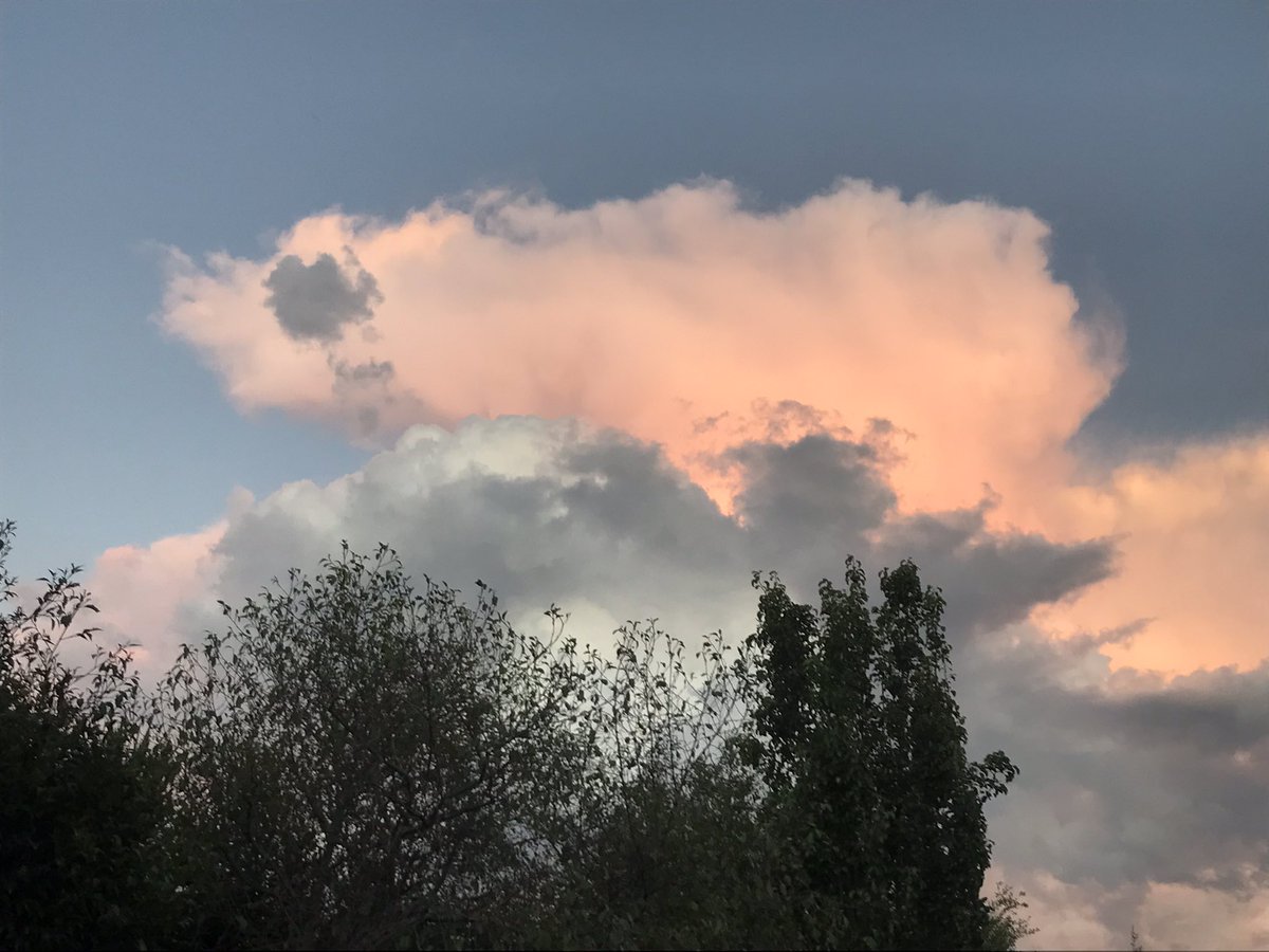 Neil Rennison tweet media