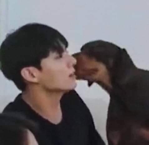 tkchronicles's tweet photo. Bam kissing                    tan kissing
jungkook 🥺                   taehyung 🥺 https://t.co/eXD4KIp1LE