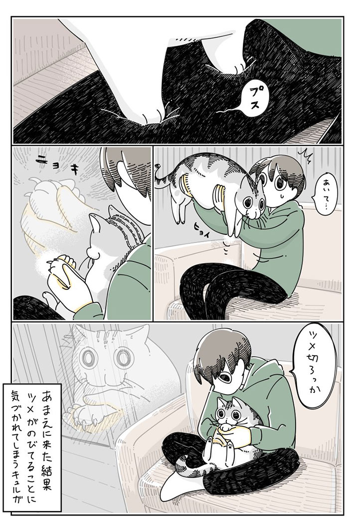 ルンルンで飼い主に甘えた猫 爪が伸びていることに気付かれて…? https://t.co/Ik8IBzaiou @grapeejpより 