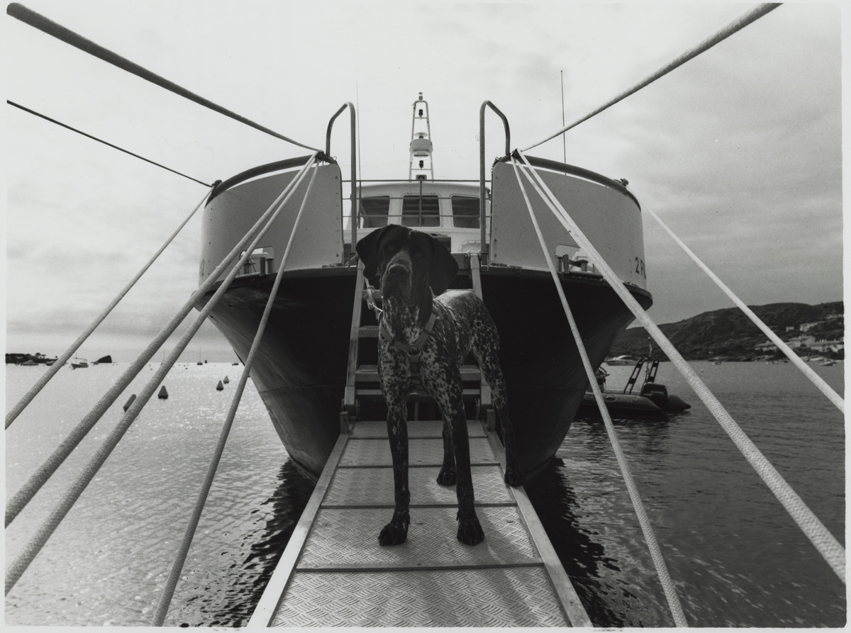 Fisheye Magazine tweet media