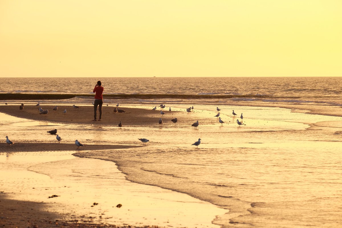 BLUEGent_'s tweet photo. #BlueBalance aims to increase #publicengagement &amp; participation in the sustainable transition of the Flemish coastal region. Read more about this innovative #project: https://t.co/PI0whaezuR @VLAIO_be @BlauweCluster @MarineAtUGent @howestDAE #VLIZ #bluetourism #innovation https://t.co/1Z5Tff1bgn