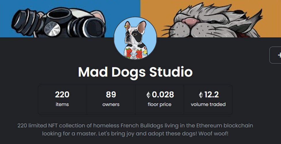 Mad Dogs Studio🐶 tweet media