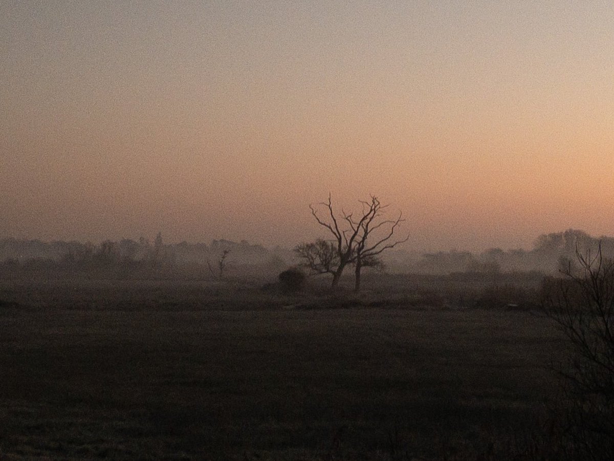 Andrew Clampett tweet media