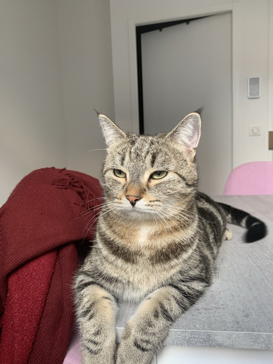 pipoupipouM's tweet photo. Quand je conclus mon mail par « bien à toi » et qu’on me répond « bien cordialement » https://t.co/0nZFTJPK90