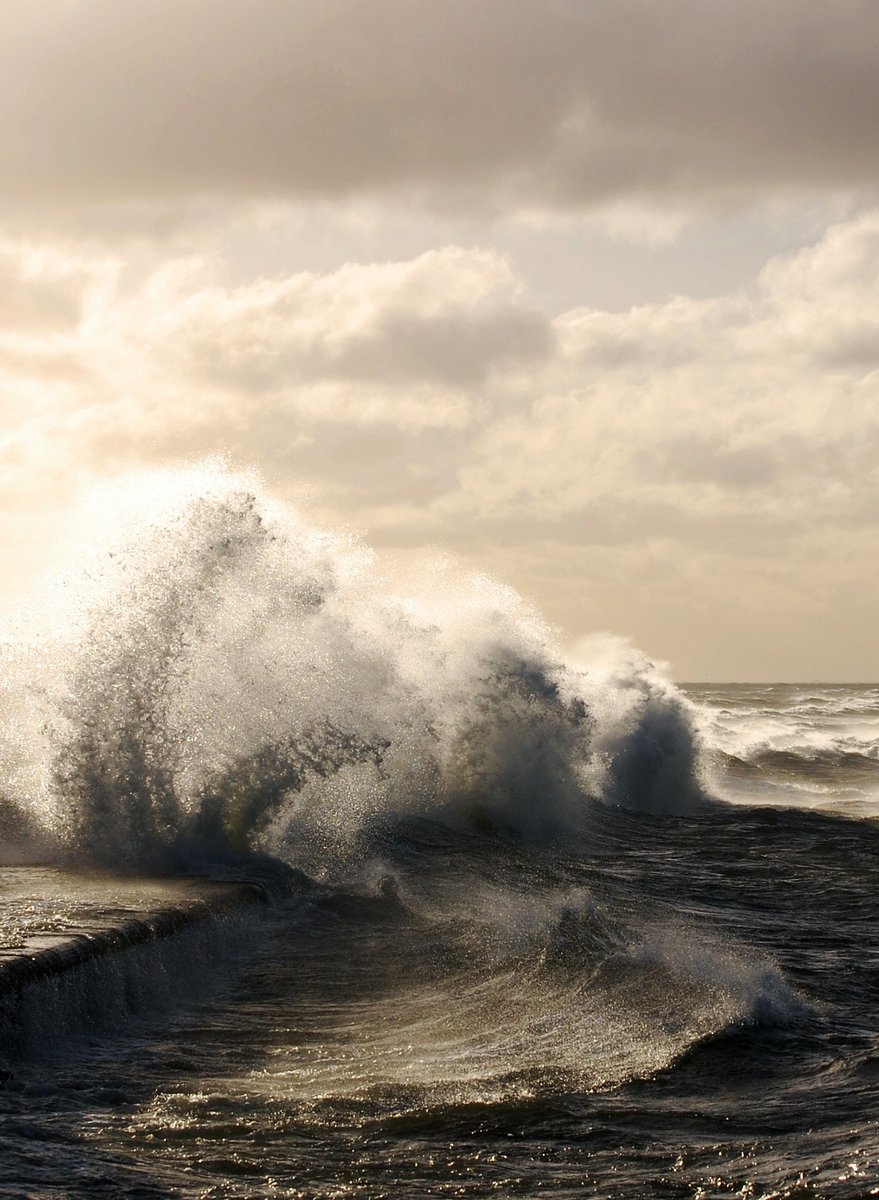 Jarosław tweet media