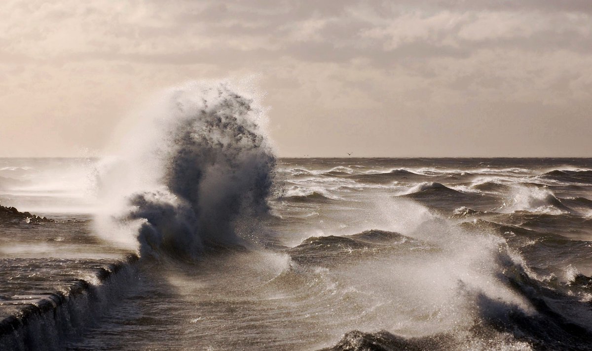 Jarosław tweet media