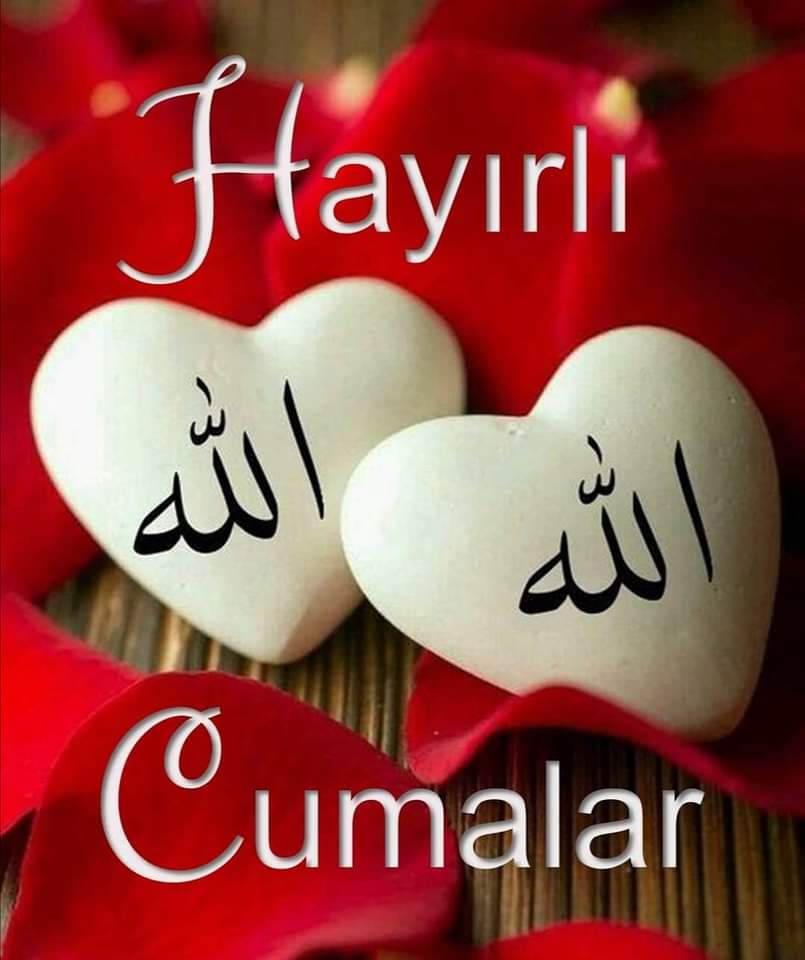KerimYucel5's tweet photo. https://t.co/aXlQYTvoLK