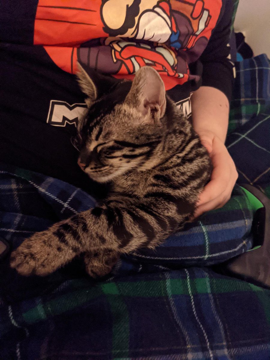 Jimitherainbow's tweet photo. @marysuewriter You're mine and my gf's favourite content creator. It's not even close we legit spend hours in the evenings watching the videos that you and Emily create, pausing and just talking about ideas and thoughts brought up! From both of us thank you, we hope you're okay. Also a cat https://t.co/Wr8PVhwsKR