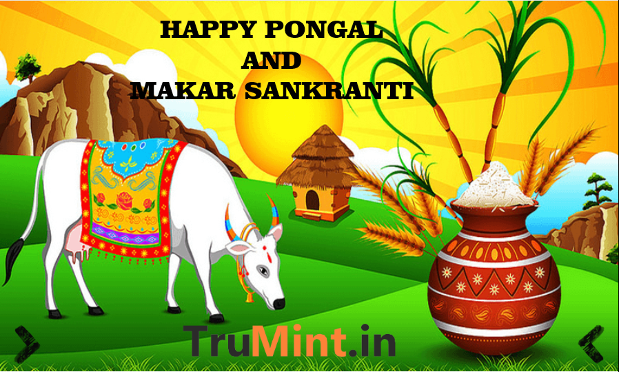 TruMint_in's tweet photo. #trumint #trucover #trutax #happylohri #lohri #finance #financialfreedom #mutualfunds #insurance #investment #investors #tax #taxation #incometax #incometaxreturn #incometaxindia #gst #pongal #pongalkolam #makarsankrantispecial #makarsankrantiwishes https://t.co/5mcfJD2E27