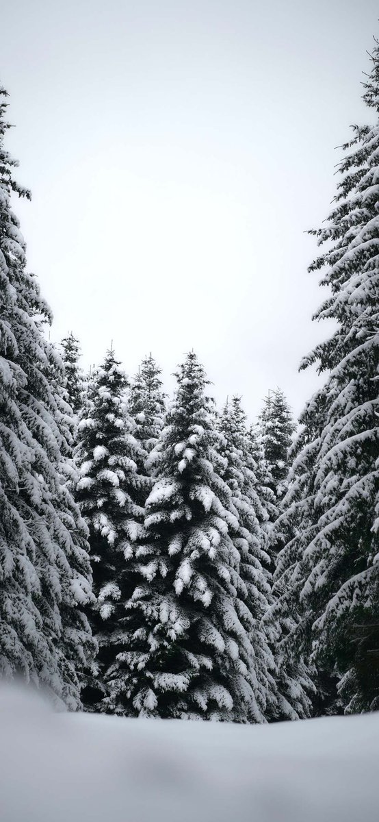 KeighanC's tweet photo. Winter is so beautiful #WINTER #Vermont https://t.co/LKoCZKd9EM