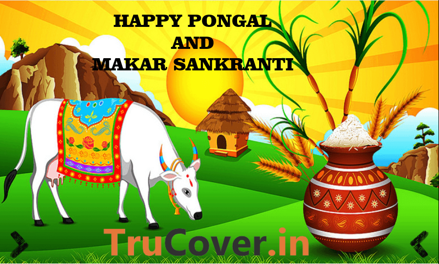 TruCover_In's tweet photo. #trumint #trucover #trutax #happylohri #lohri #finance #financialfreedom #mutualfunds #insurance #investment #investors #tax #taxation #incometax #incometaxreturn #incometaxindia #gst #pongal #pongalkolam #makarsankrantispecial #makarsankrantiwishes https://t.co/7lbAZiCorr