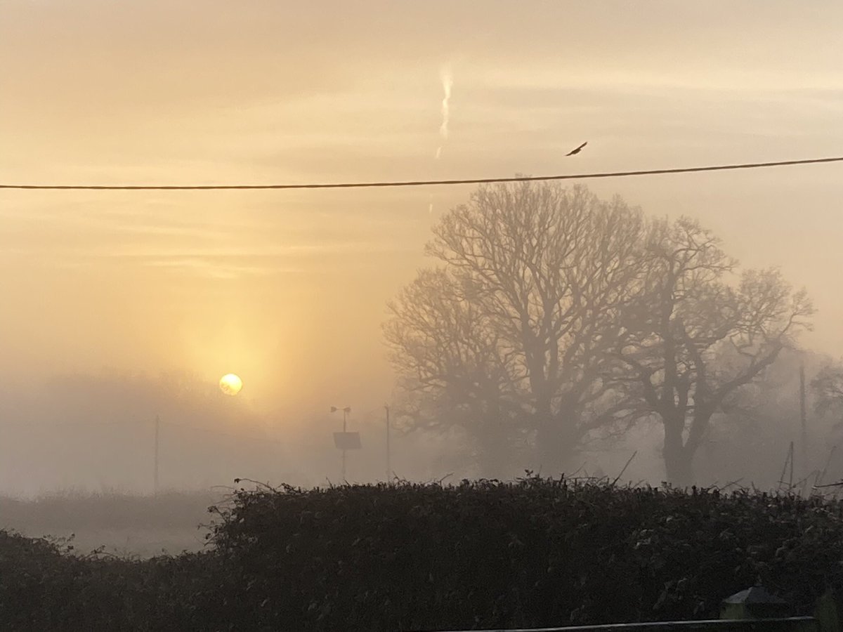 Sue Scott-collis tweet media