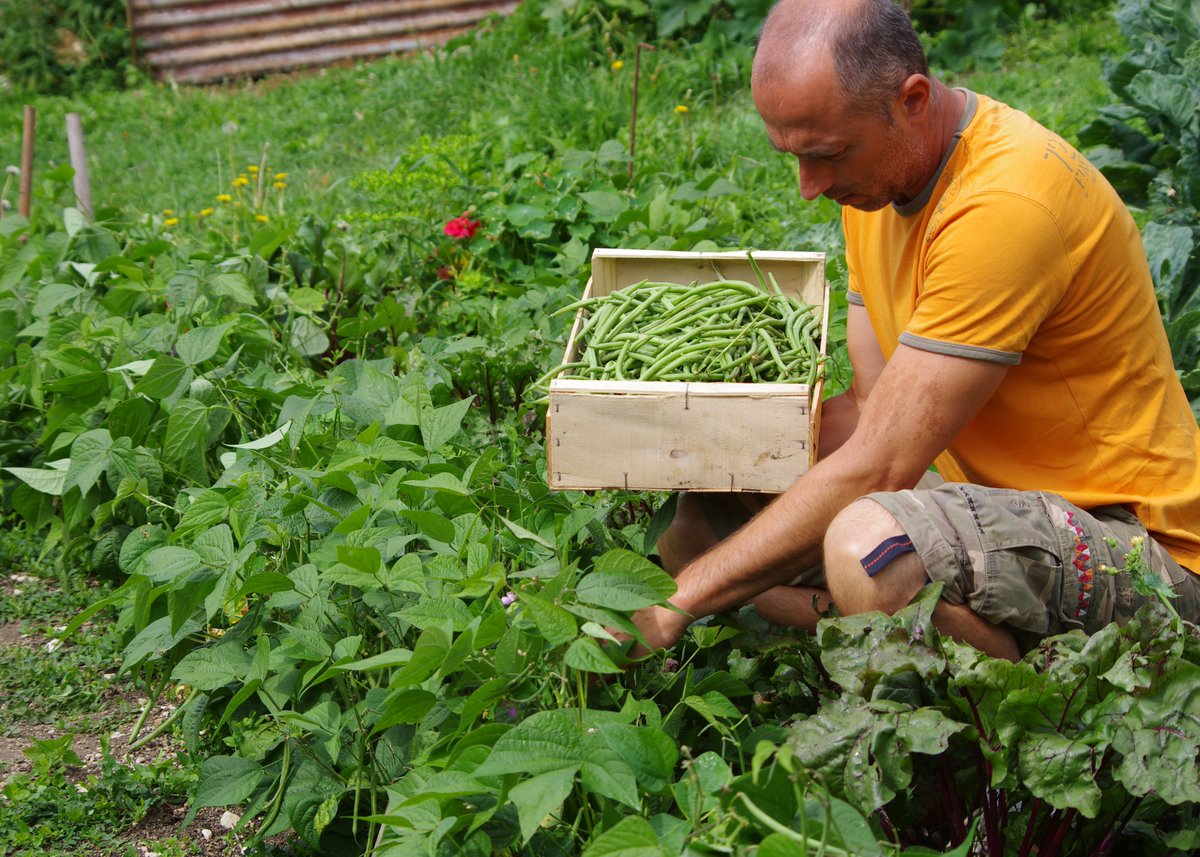 BanqueDesTerr's tweet photo. #NotreActionESS : Avec l'AMI « Accélérer la transition alimentaire », nous affirmons notre engagement pour une alimentation plus durable 🌿
La 2e récolte de beaux projets est en cours !
Déposez votre dossier de candidature avant le 25 mars 👉 https://t.co/H0l3infiSk
#ESS https://t.co/tpzPJ1EBFe