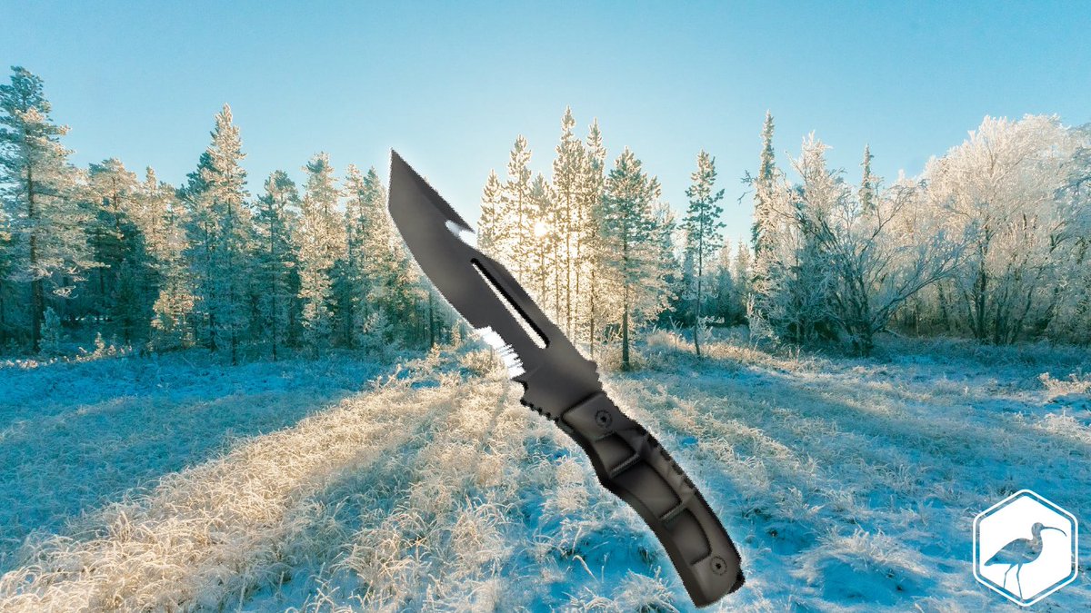 Curlews 2 tweet media