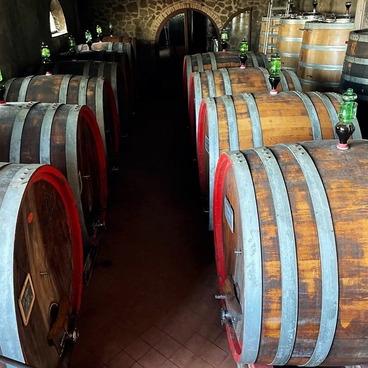 Dopo un lungo stop si riparte da qui. Il Marroneto.

#RiccardoGabriele #IlMarroneto