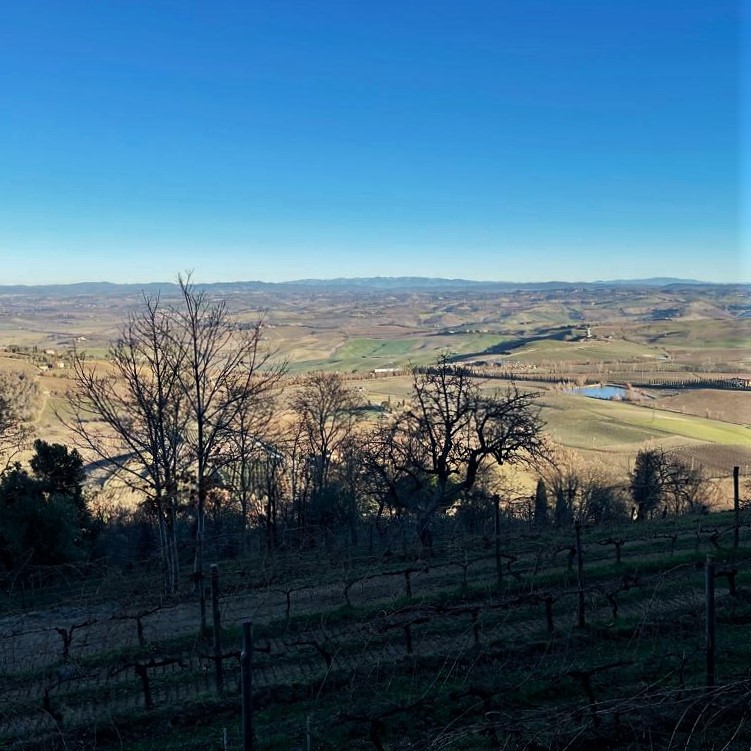 Riccardo Gabriele tweet media