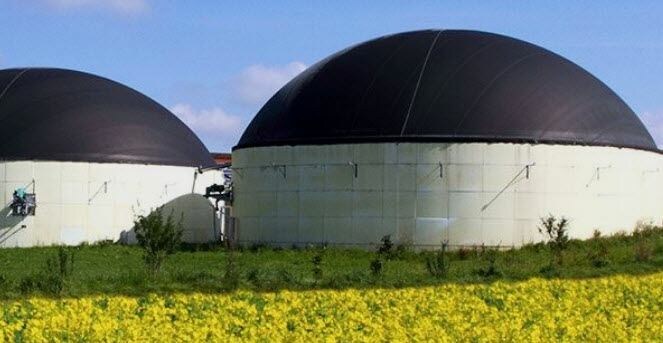 Subsidietip: voor investeringen of het opzetten van samenwerkingsverbanden om uw veehouderij duurzamer of economisch sterker te maken zijn er t/m 14-02-2022 twee subsidieregelingen opengesteld. Lees meer op bit.ly/34Eh9Kz en schrijf . #FarmConsult #subsidie #EHF