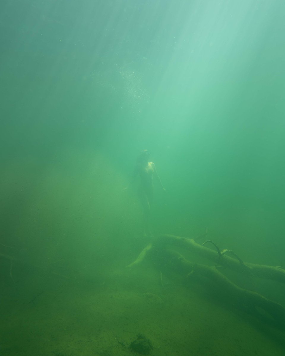NordinJacob's tweet photo. Editing underwater photos is always a fun challenge 🎨 https://t.co/cyaB773aVT