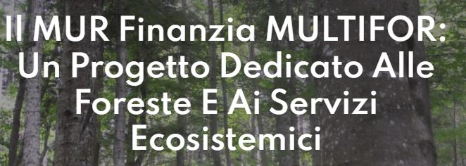 isafomcnr's tweet photo. Il #MUR Finanzia #MULTIFOR, un progetto dedicato alle foreste e ai servizi ecosistemici. Il contributo dell'#Isafom
link https://t.co/IC3c3zUFIx"
@DiSBAcnr https://t.co/FD4N5ipX5P