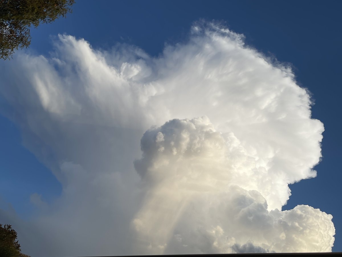 Seenbrighterda1's tweet photo. Some awesome cloud formations moving through but no rain. Now watching the lightning out the window resting. #vicweather #vicstorm #clouds #SevereWeather #VictoriaSummer #LookUp #NeverGiveUp #SkyWeatherAus #NineMelb #ABCVic https://t.co/fb4fQa1k8M