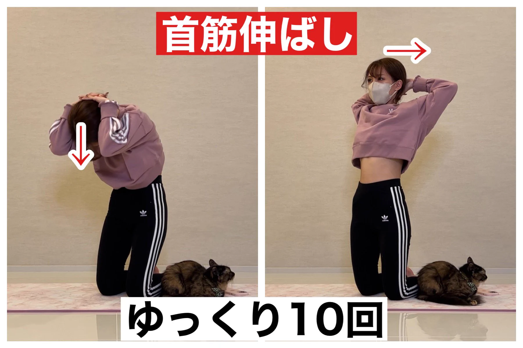 ストレートネックの人必見！5分やるだけで首の軽さが変わるストレッチ！