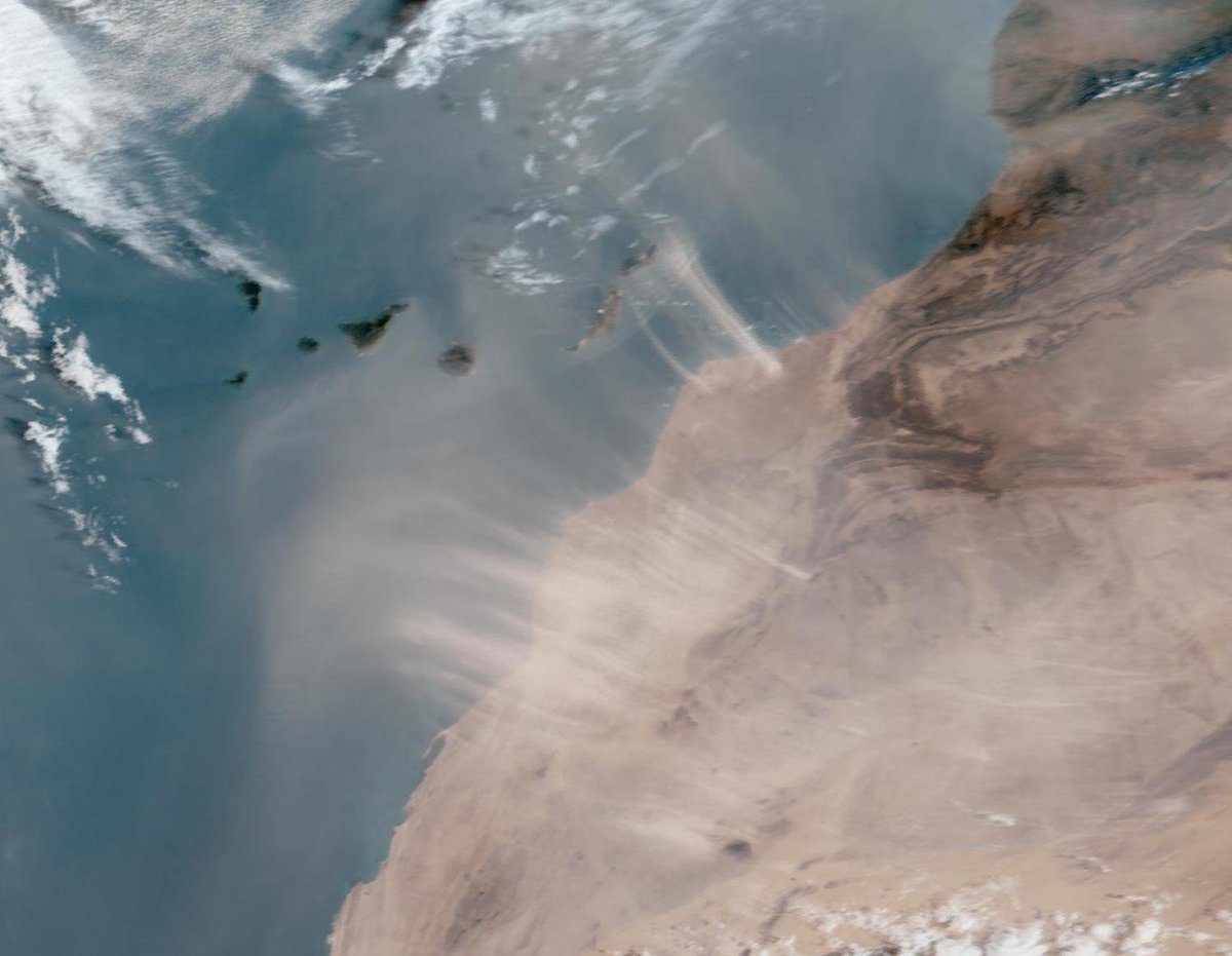 david_suarezm's tweet image. Así se ve desde satélite la advección de polvo desde #Africa hacia #Canarias. Imagen True Color de GOES