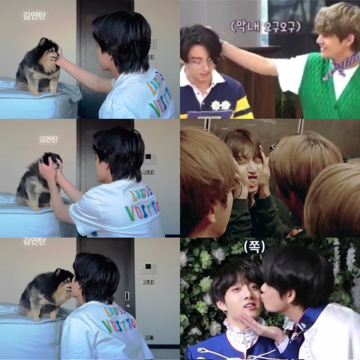 illicitvk's tweet photo. taehyung's babies :( https://t.co/syiFbOq3mh