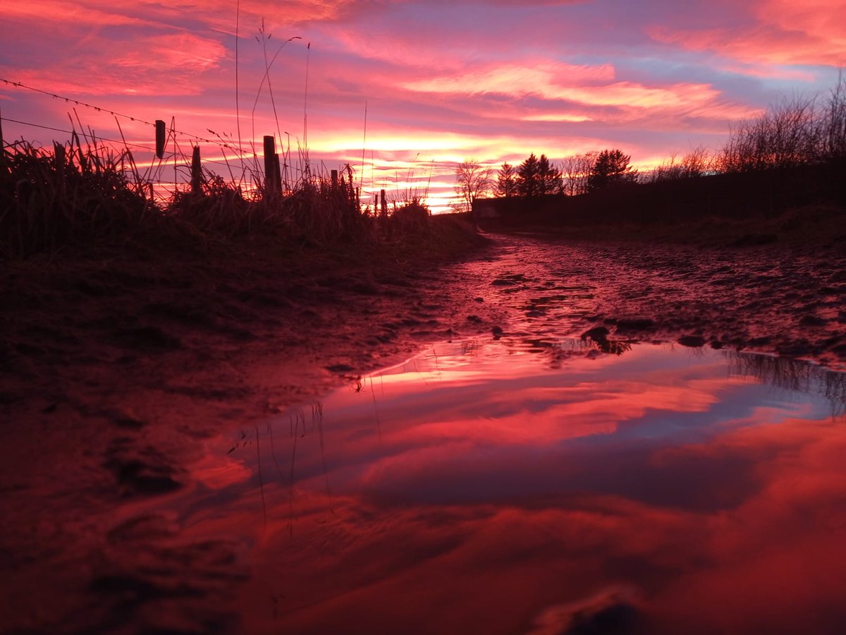 SpeysideART's tweet photo. Awesome sunset captured this week by a talented S2 Pupil #sunset #sunsetphotography #speyside https://t.co/TPAfKWcYCa