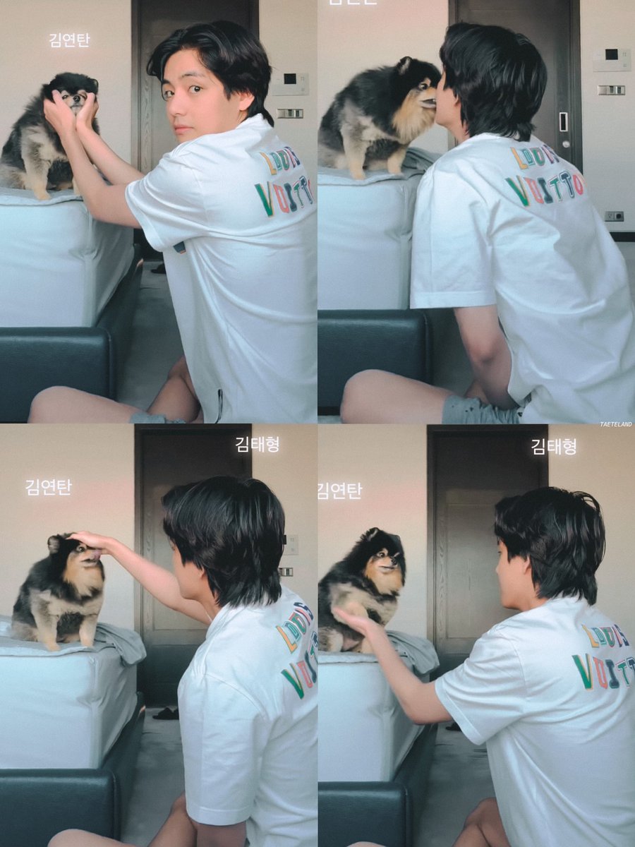 omg taehyung &amp; yeontan look at them