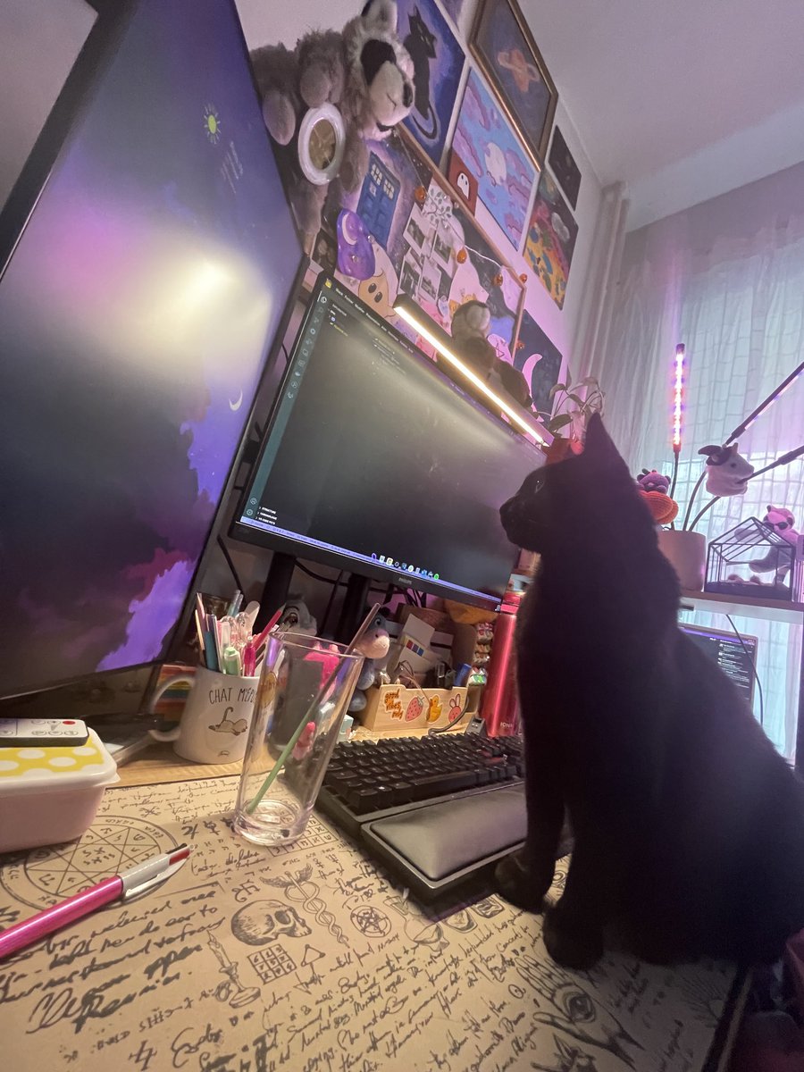 louhdetech's tweet image. Daily coding Sirius #purrprogramming