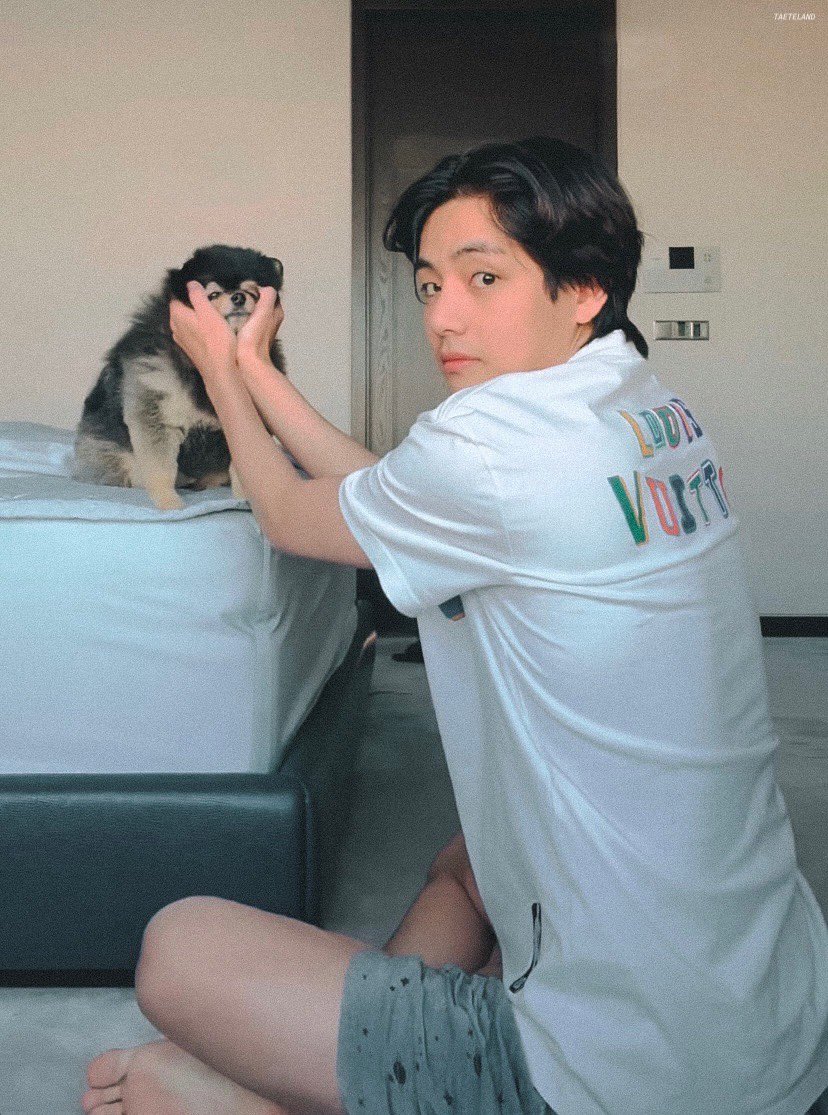 taeteland's tweet photo. #BTSV 📸🐾 https://t.co/cZtfwd2f4X