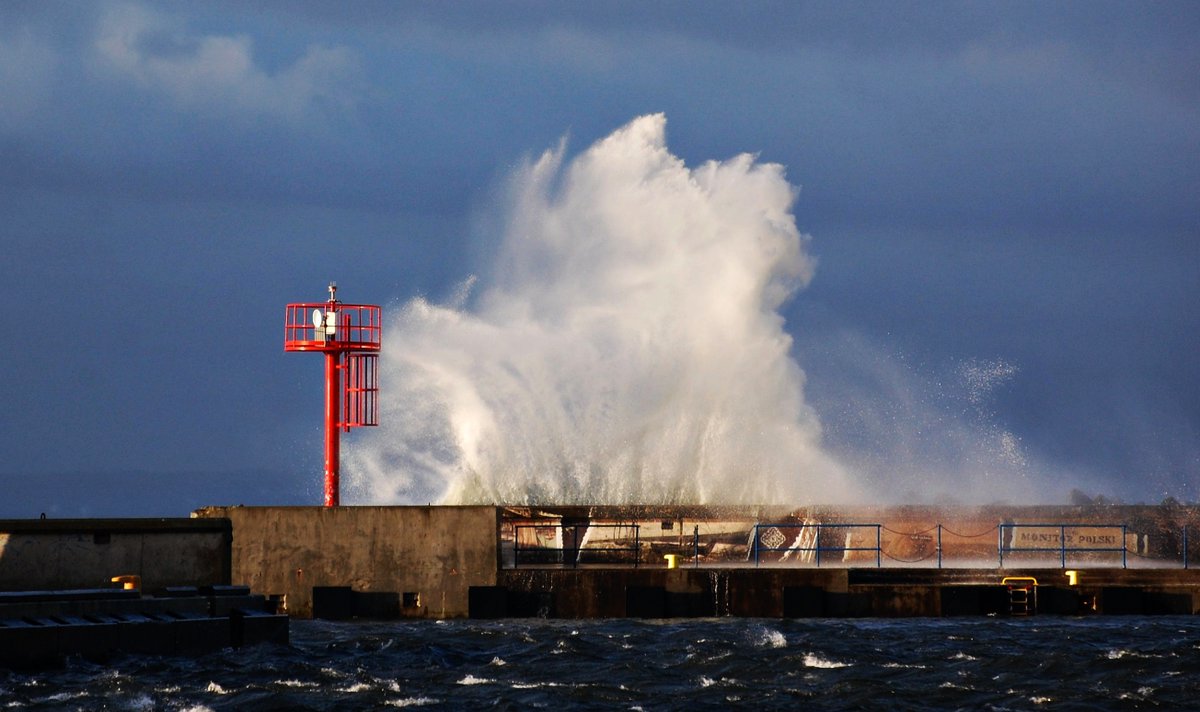 Jarosław tweet media