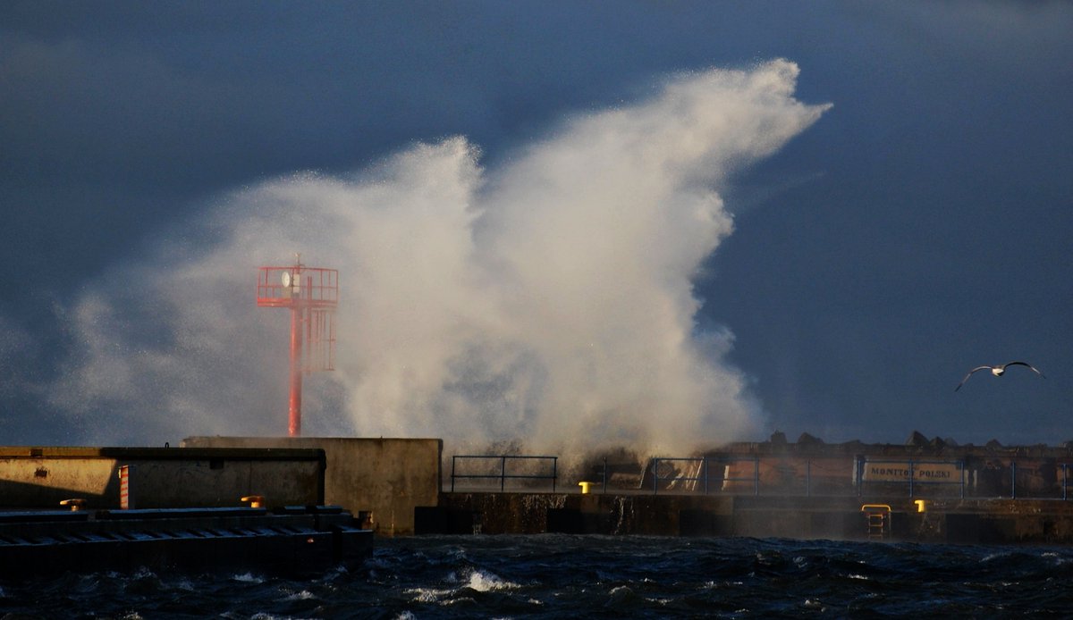 Jarosław tweet media