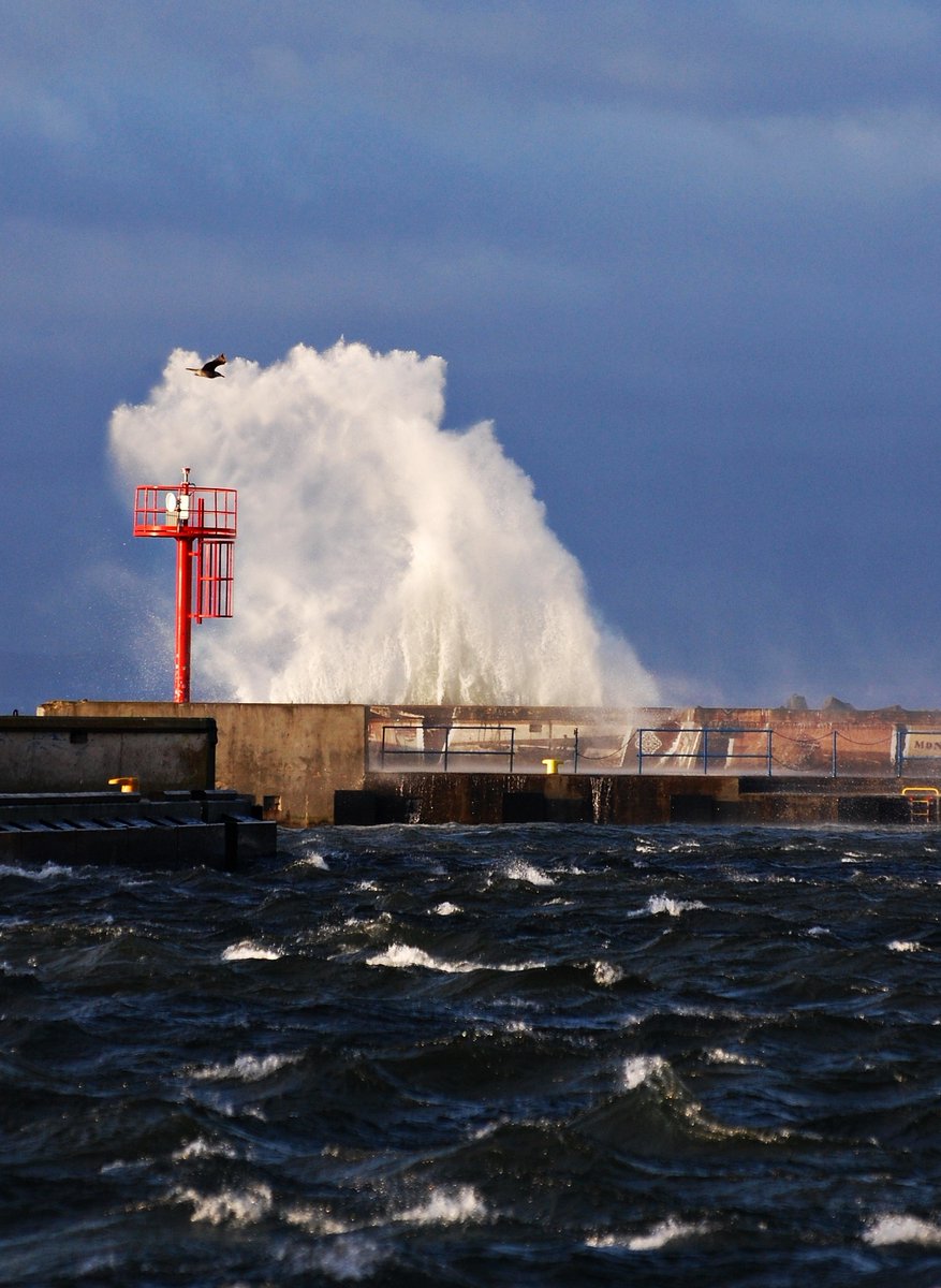 Jarosław tweet media