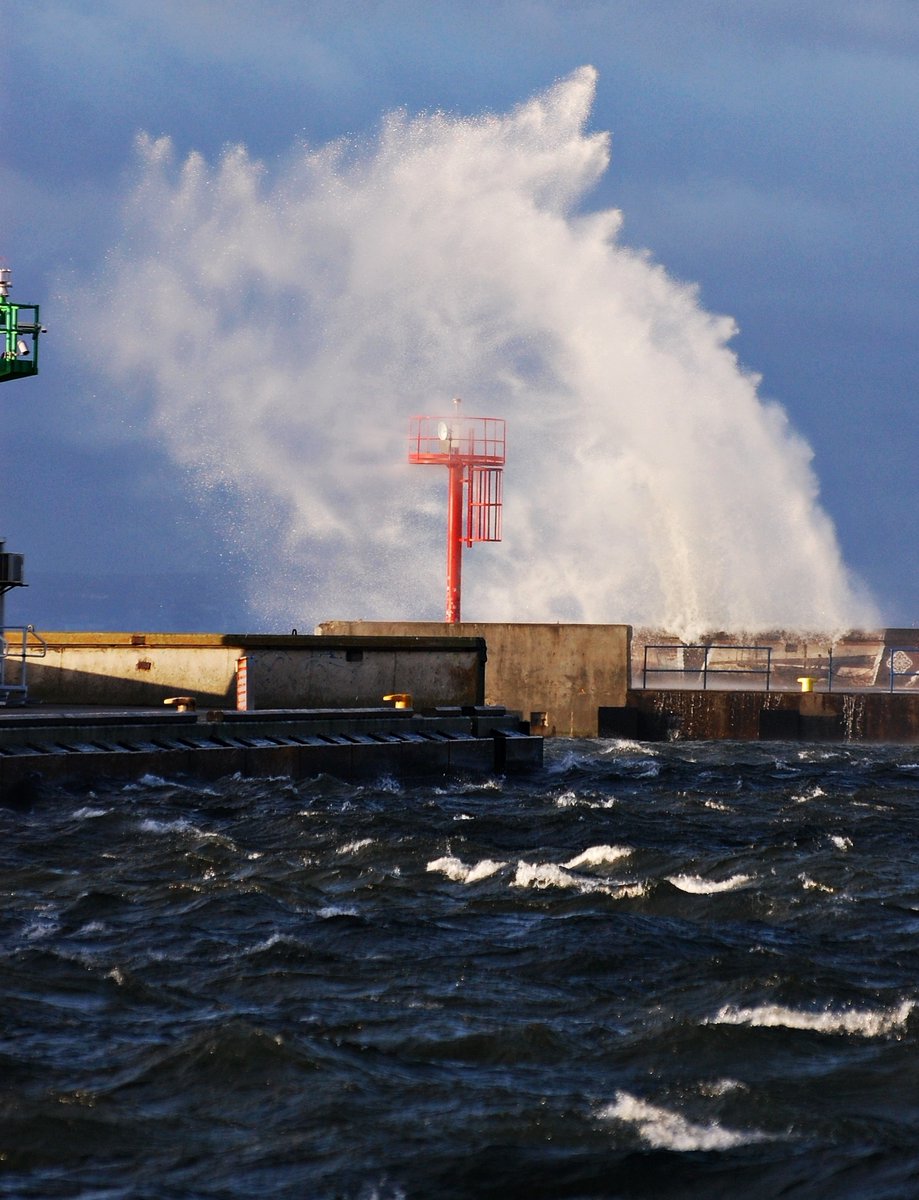 Jarosław tweet media