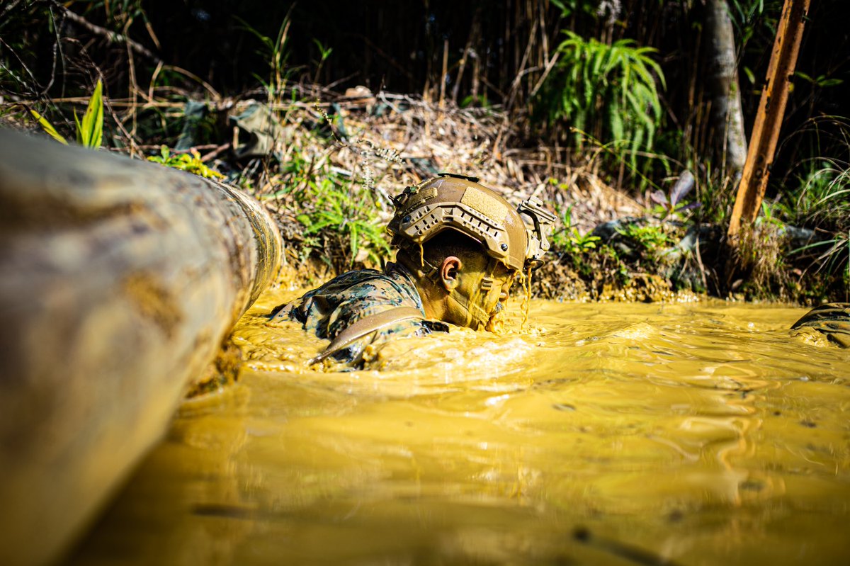 3d_Marine_Div's tweet photo. Our #Marines take part in the endurance course during the 3rd Marine Divison Squad Competition at the Jungle Warfare Training Center. The week-long competition tests jungle survival skills, basic infantry tactics, and excellence in weapons handling.

#ReadyToFightNow https://t.co/zQ17lS0nqM
