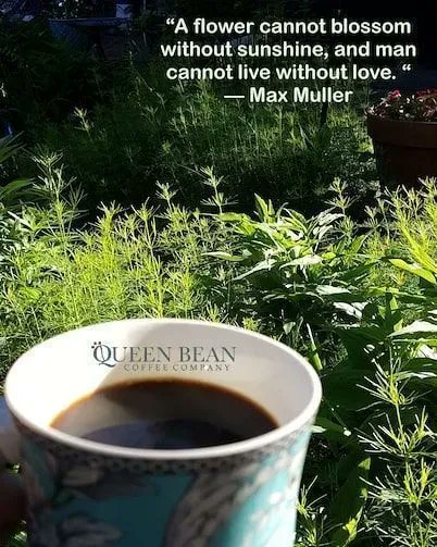 Cbp8Cindy's tweet photo. OR #coffee, man can not live without #coffee!
https://t.co/o1jjtf5M2I has a new #coffee special every month! For January 20% off all bends!
#ChekItOut #CoffeeLover
https://t.co/maIKhXIrLX https://t.co/fmlyzVUOA9