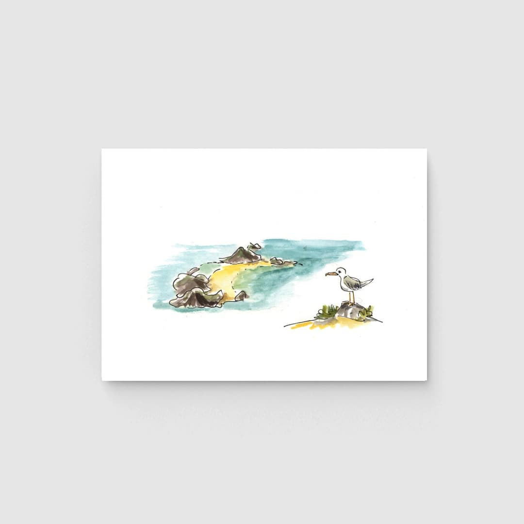 ciesgal's tweet photo. ✏️ 🎨 Ilustración de Gaviota patiamarilla y playa de Rodas por @ClaraCervino 

🛒Accede a nuestra tienda https://t.co/qbQuB4fZw0 en https://t.co/NOZr4G4YjN para ver este y otros productos: https://t.co/sonbTIrKSv

#CulturaAtlántica #NaturalezaAtlántica https://t.co/rm1oEFtOSU