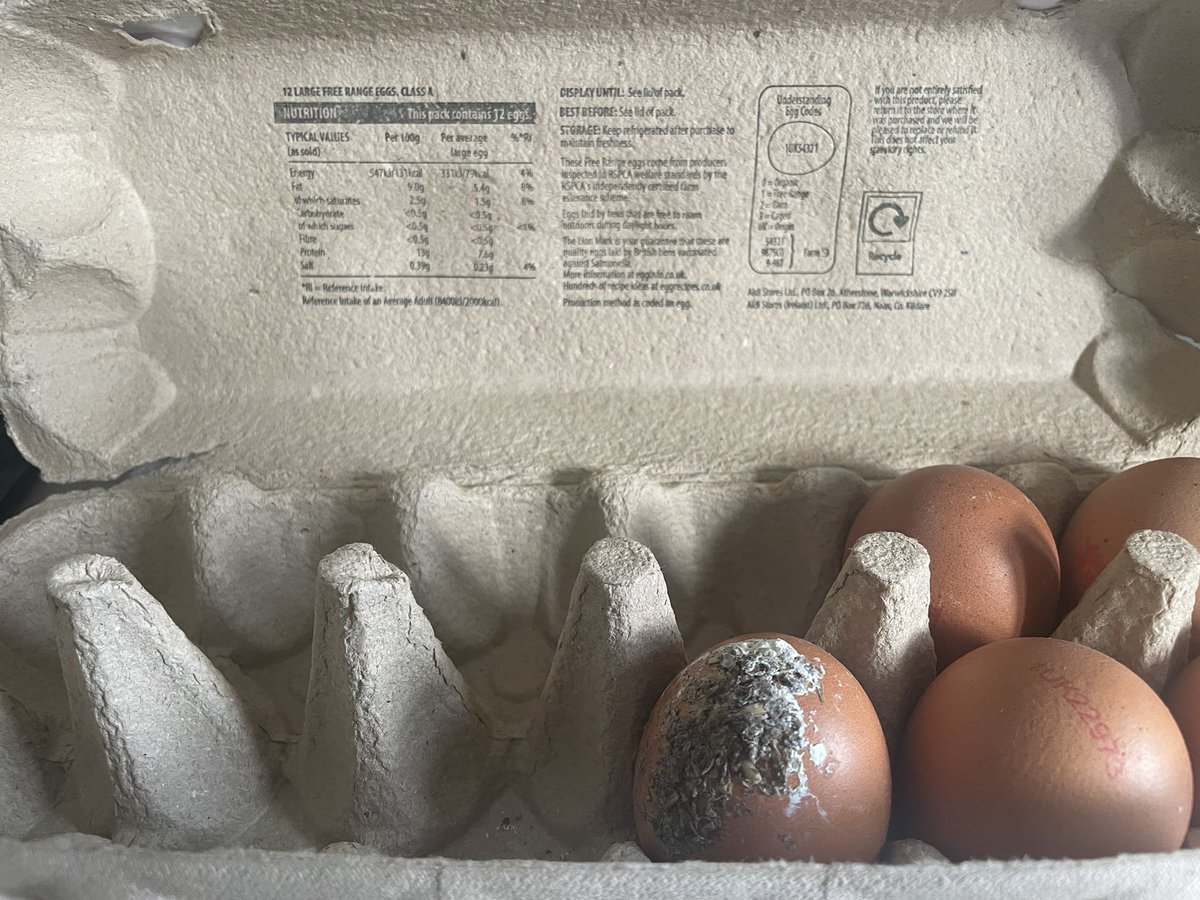 Dugsymalone9's tweet photo. @AldiUK What sort of seasoning are you adding to my eggs?!? 🤢 #qualitycheck #cheekyhen https://t.co/z6n1j4DWQL