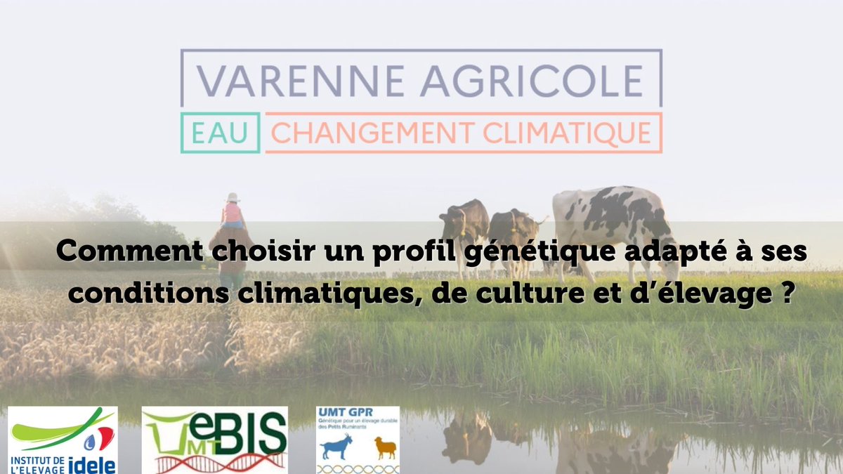 Élevage &amp; génétique | Outils #génétiques 🧬 &amp; sélection aux enjeux de l'adaptation au changement #climatique ☀ : 
👉 Besoin R&amp;D
👉 Conditions pour assurer un transfert vers les #éleveurs
🔸 Réflexion dans le cadre du Varenne Agricole : cutt.ly/2IgzwtR
#UMT_eBIS #UMT_GPR