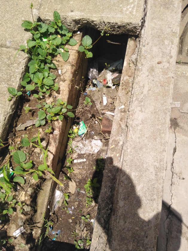 MatHumanRights's tweet photo. We all have a role to play in stopping cbd flooding. Residents need to be good stewards of their environment and council needs to improve storm drain clearing
#AdvancingRights
#ByoDrainageMenace
@CityofBulawayo @citezw @byopra @EMAeep @ZELA_Infor @EndPlasticWaste https://t.co/JfX7amb6cl
