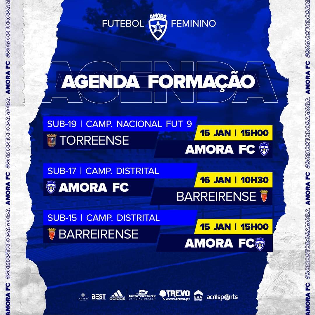 Jogo do Amora FC nas meias finais da Taça de Portugal Feminina com apoio  solidário para animais - Diário do Distrito