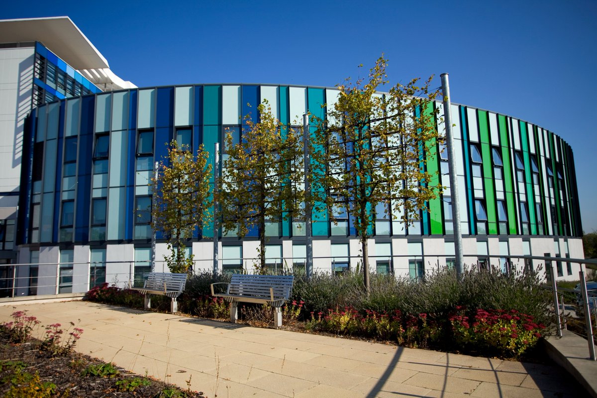 SFH Jobs tweet media