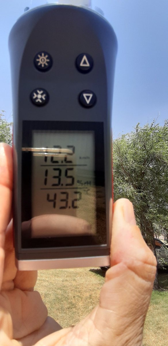 jpserri's tweet photo. Establecimiento San Andrés, jueves a la tarde, cero condiciones para evaluar el trabajo. 

@IBPAgro, @LihuelSartini https://t.co/aHW5EShkhr