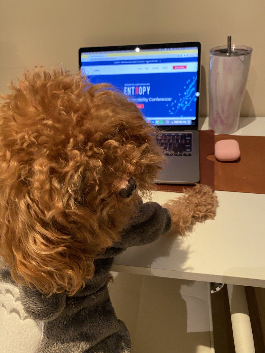 Siffletdata's tweet image. Someone is working hard to ensure #entropy2022 is a success. Register here 🐾🐾siffletdata.com/data-observabi…